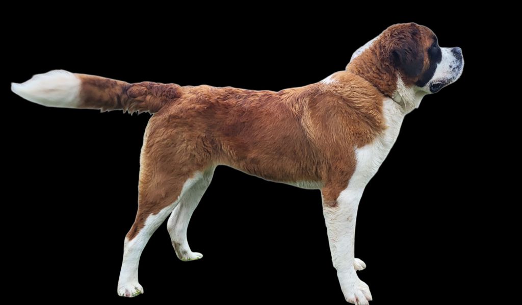 Ukie des montagne ensablees